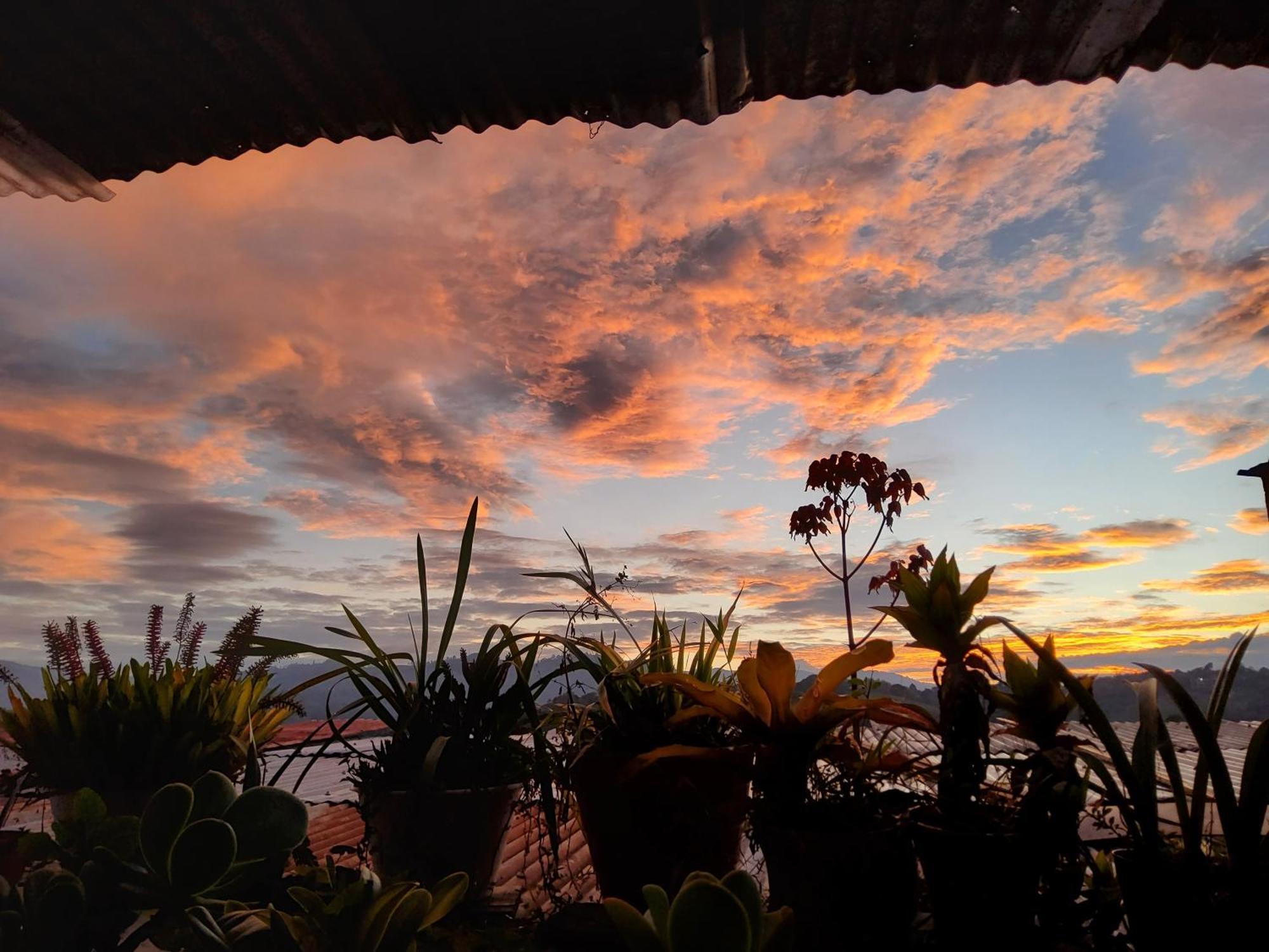 Hostal Musica Y Arte San Agustín 外观 照片